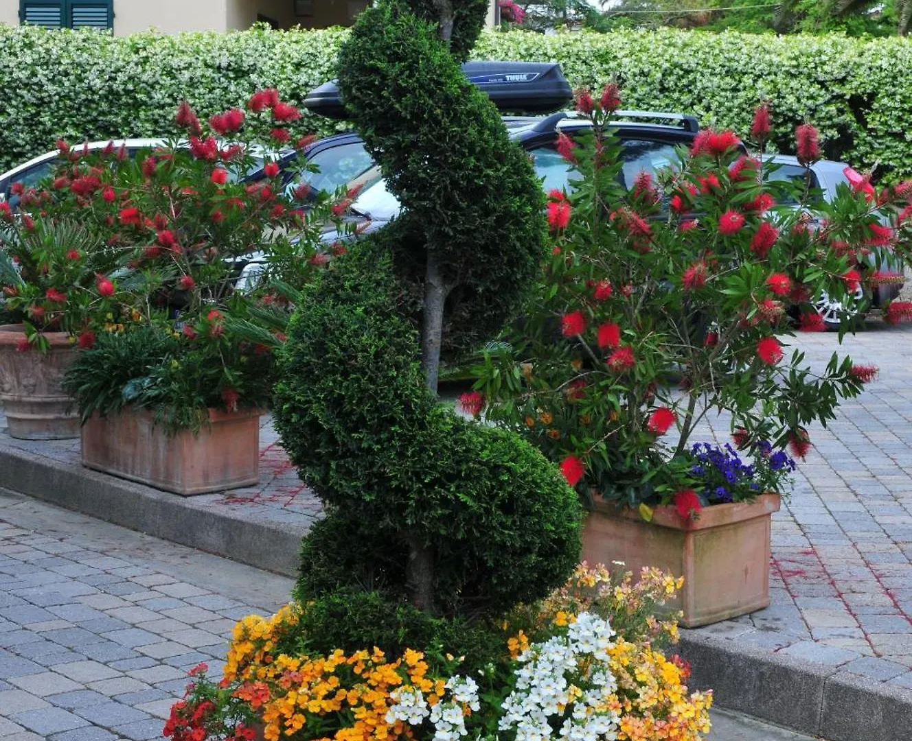 ***  Hotel Riviera Blu Tirrenia Italy